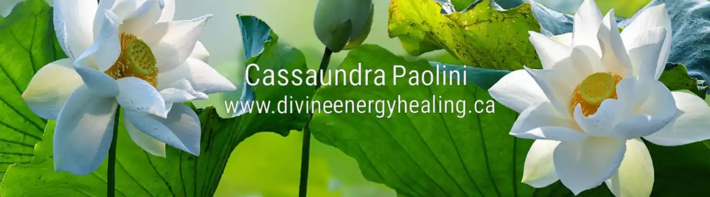 Cassaundra Paolini - 健康與保健, 冥想, 靈性, 精神發展, 能量療愈, 氣功, 瑜伽, 個人發展與輔導, 創傷  Profile Banner